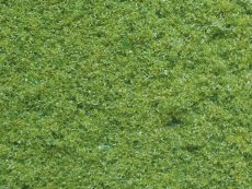 medium vårgrön flock