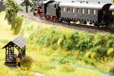 Marktäckare Foliage "Äng" Vit.