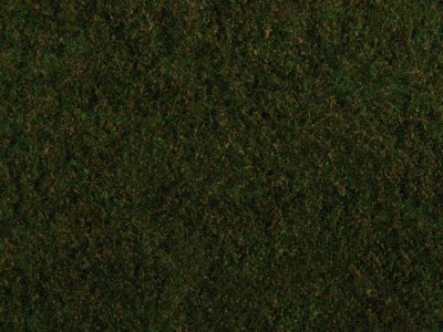 olivgrön foliage