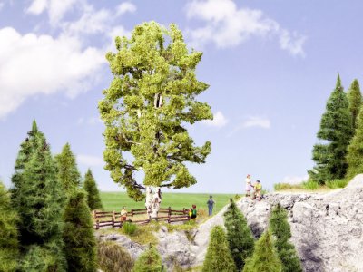 Björk med dubbel stam. 19 cm hög.