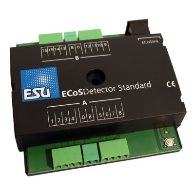 ECoSDetector Standard