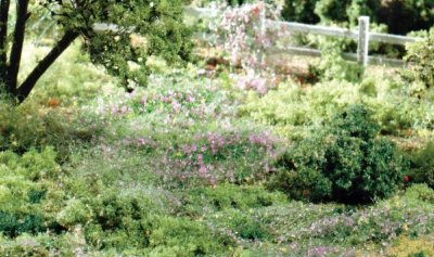 Blommor i 4 olika färger.